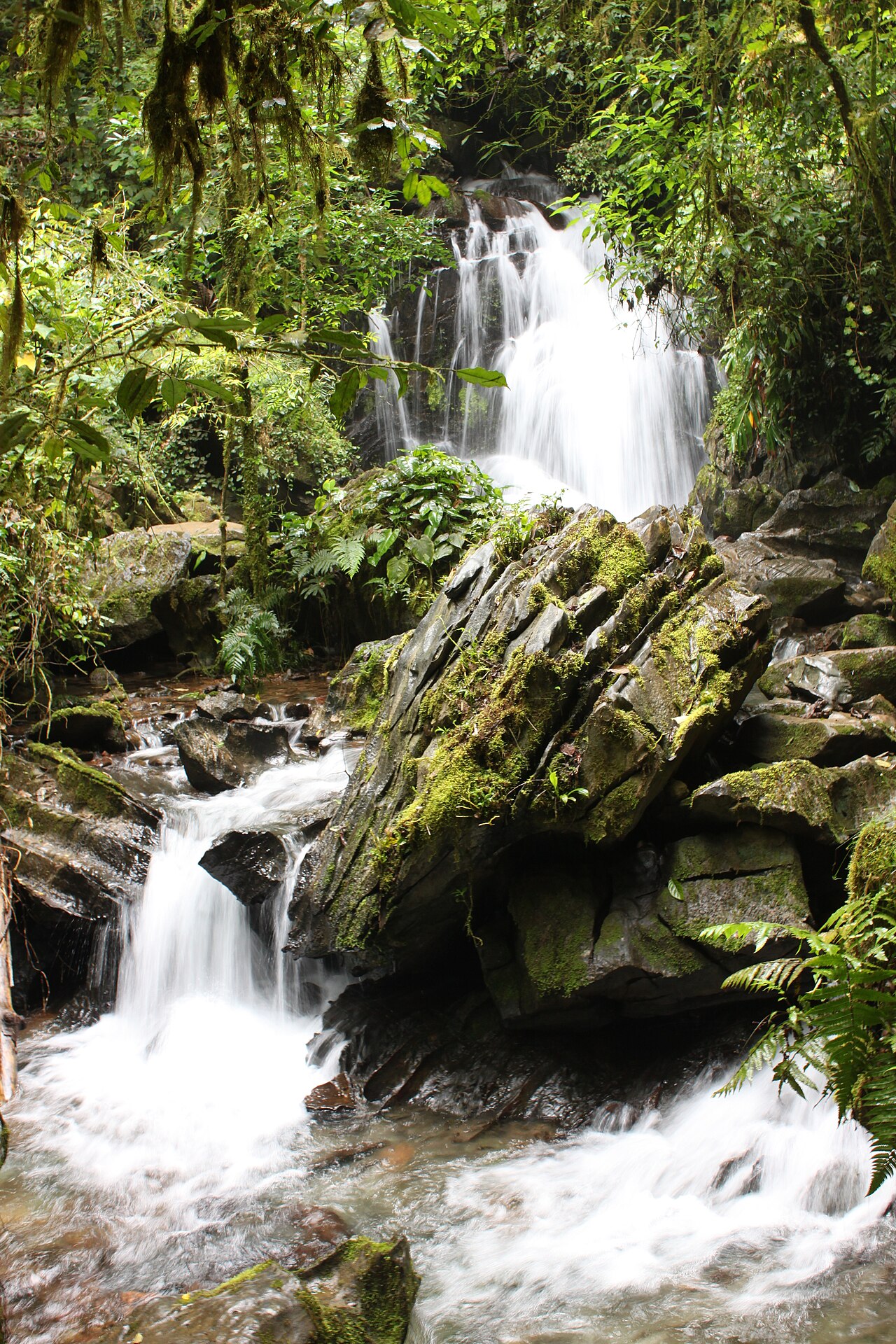 Cachoeira cercada pela Mata Atlântica no PETAR, em São Paulo.