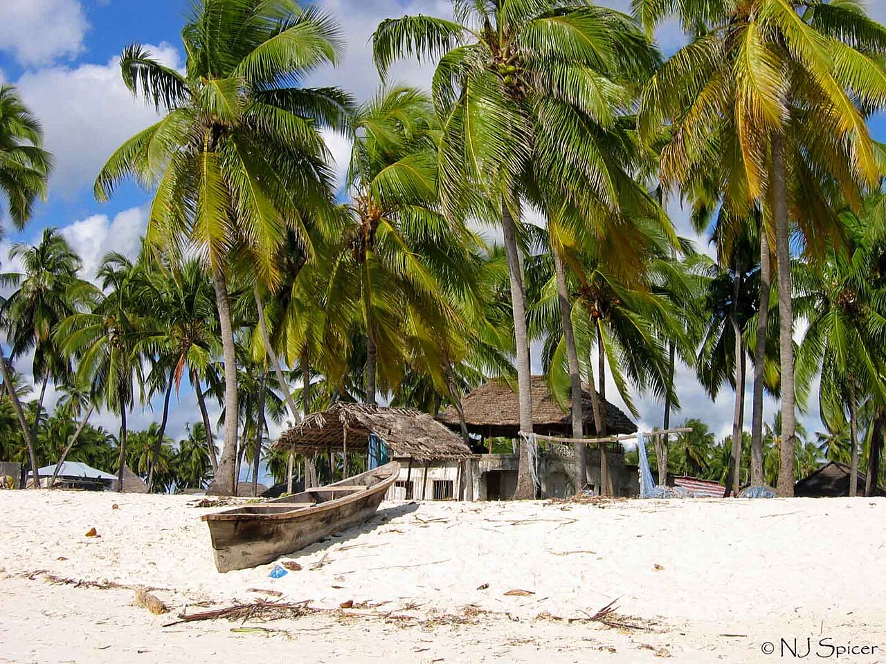 Praia de Zanzibar com coqueiros e uma embarcação de madeira.