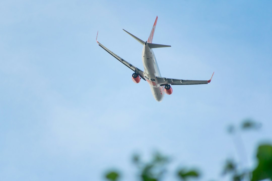 Avião em voo, imagem ilustrativa de aviação; não documenta as obras de Congonhas.